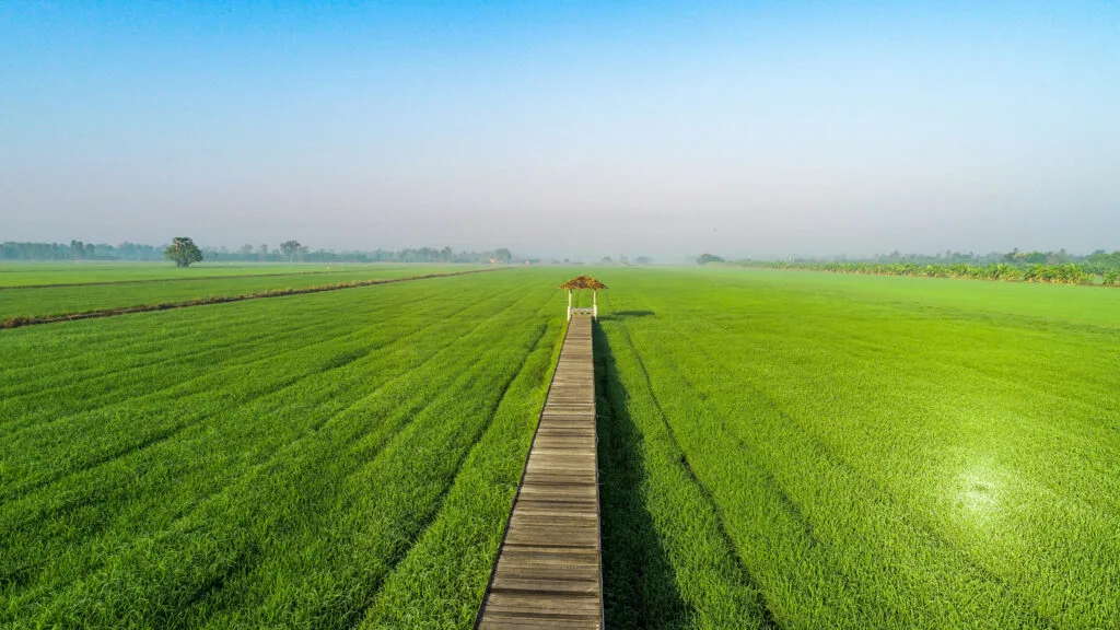 ภาพสถานที่